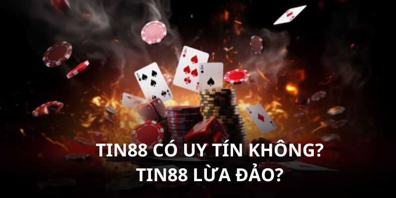 Tin88 có uy tín không, Tin88 lừa đảo không chính xác